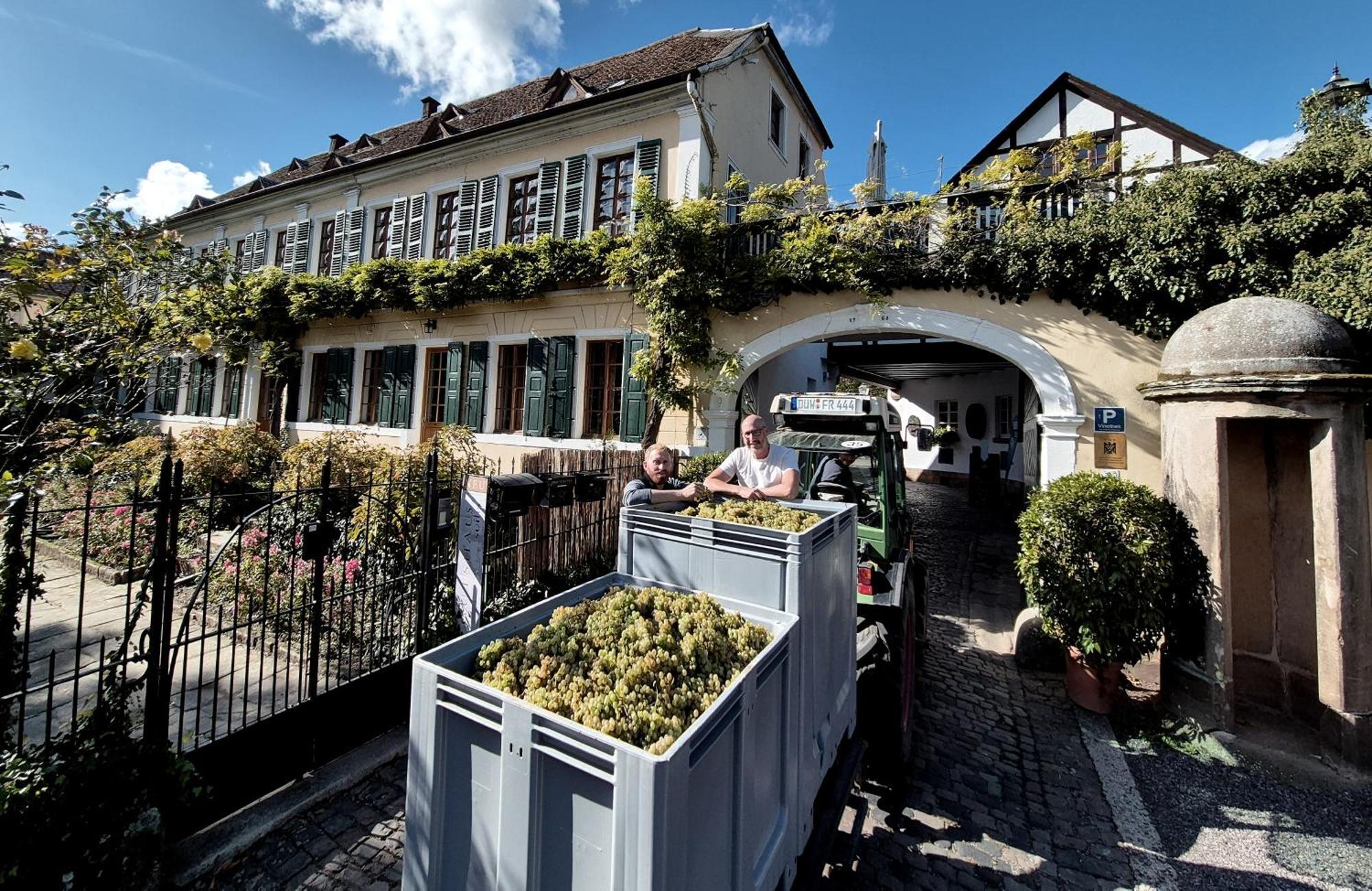 Unterkunft Im Weingut Fitz-Ritter Бад-Дюркхайм Экстерьер фото
